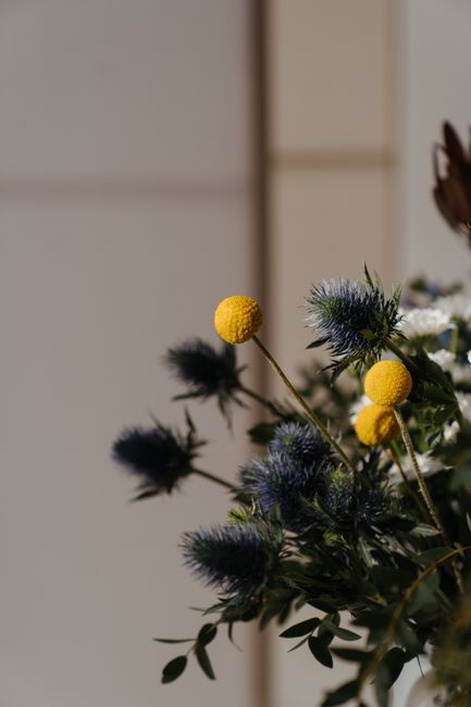 A floral arrangement featuring a combination of blue thistles, small white flowers, and bright yellow Bilimbi flowers with round, textured blooms, all arranged with green foliage. The bouquet is posit